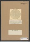 Eupodiscus insutus Castr. (de-Toni-Nr.: Genus 177, Species 4464) Zeichnungen Sammlung Grunow Nr. 8032 (NHMW-BOT-W0377340)